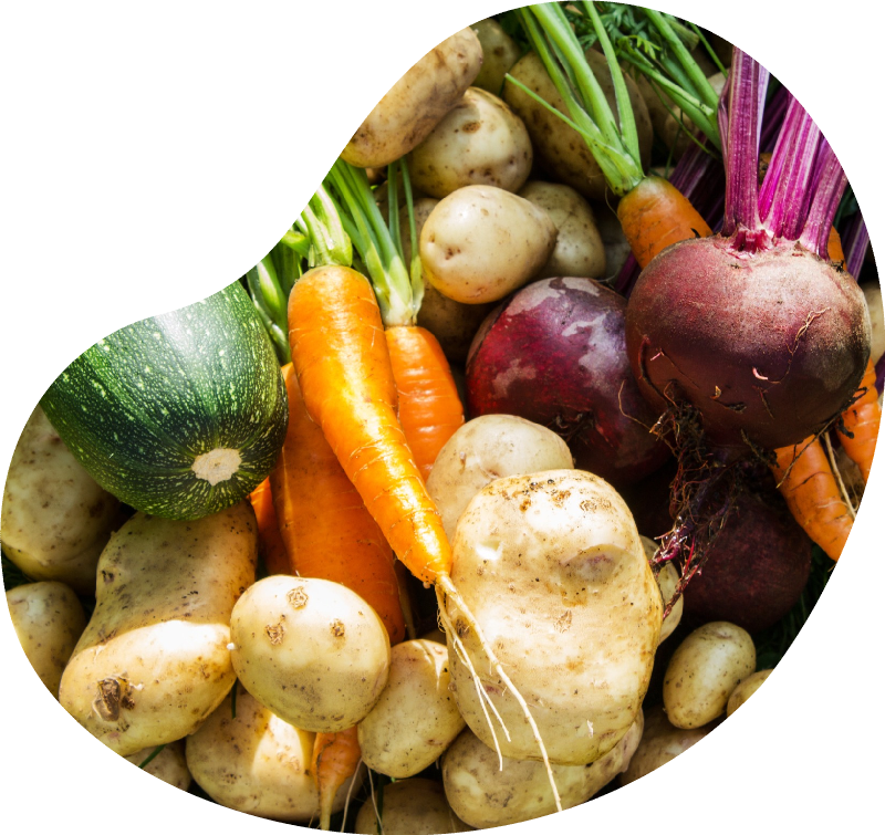 Natural background of fresh vegetables. Selective focus. Horizontal. Top view.<br />
